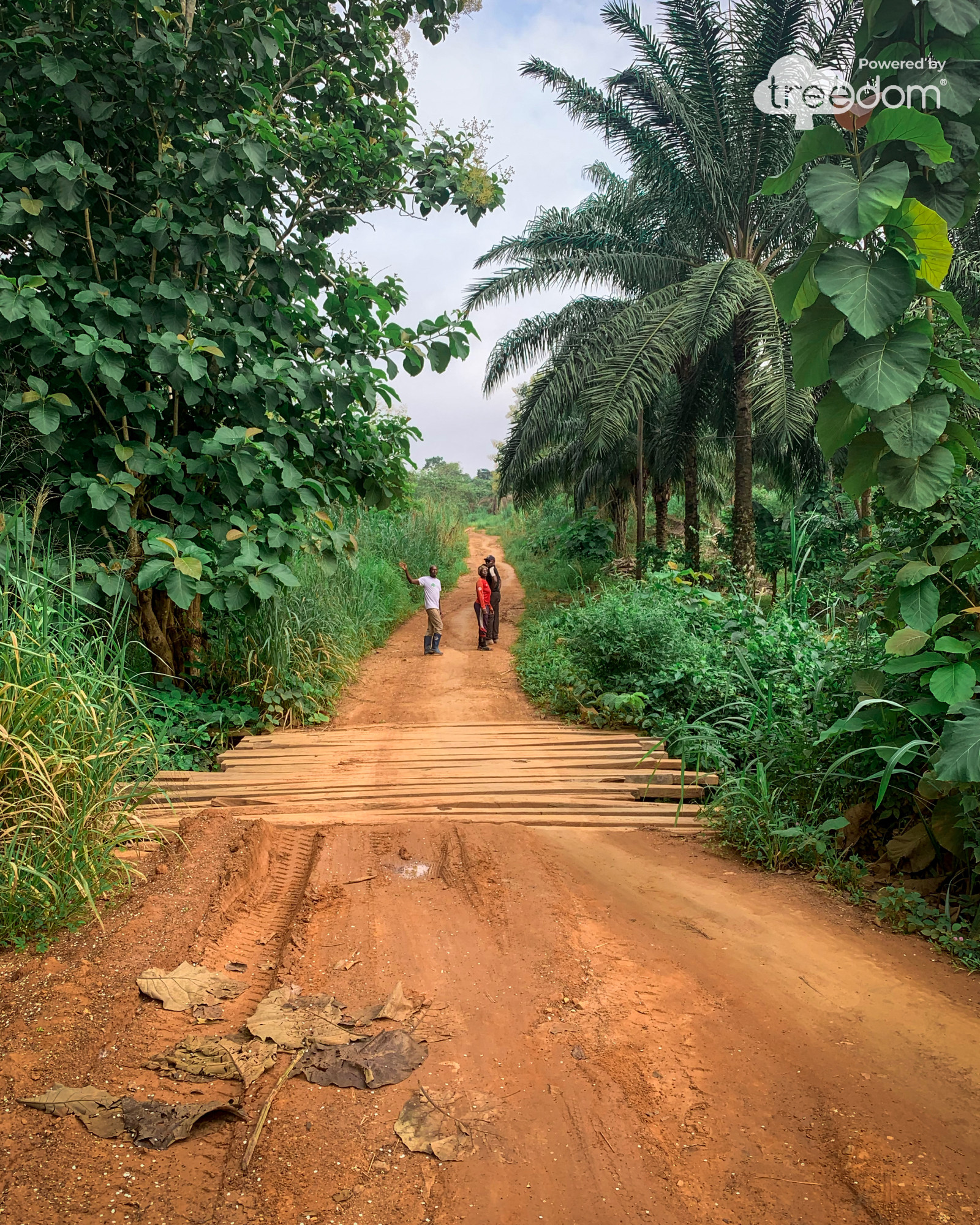 Through our partnership with Treedom, we have impacted the lives of farming families around the world for the better. <br><br>Image credit: Treedom